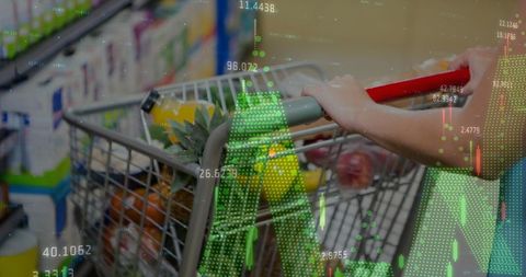 Digital Innovation in Retail: Shopping Cart with Data Overlay