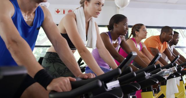 Diverse group participating in indoor cycling class at gym - Download Free Stock Images Pikwizard.com