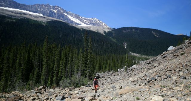 Solitary Hiker Trekking Through Mountain Terrain with Evergreen Forest Backdrop - Download Free Stock Images Pikwizard.com