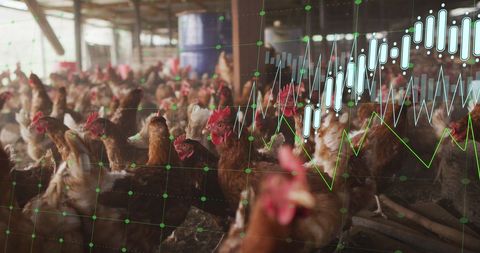 Financial Growth with Poultry Farm Technology Overlay - Download Free Stock Images Pikwizard.com