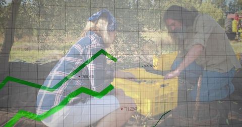 Harvesting olives and tracking market growth overlay for agricultural business concept