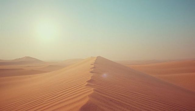Vast Desert Sands Under Bright Sun with Rippled Patterns