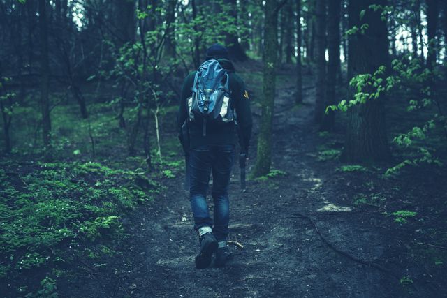 A young man with a backpack is hiking on a forest trail in the early morning light. The dense woods and lush greenery create an atmosphere of solitude and tranquility. This image is ideal for use in travel blogs, adventure tourism websites, outdoor gear advertisements, or inspiring posts about nature and exploring the great outdoors.