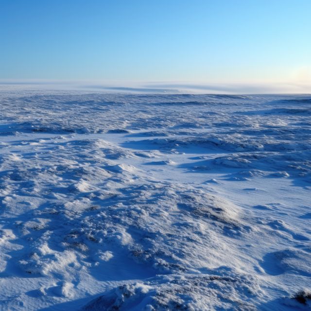 Frozen arctic tundra landscape with snow and blue sky, created using generative ai technology. Scenery, winter and beauty in nature concept digitally generated image.