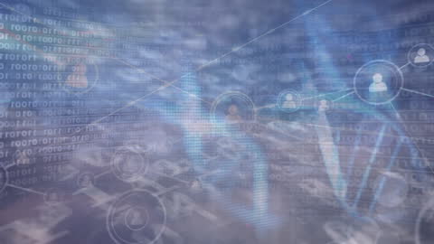 Digital DNA Structure with Network Connections