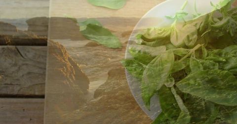 Blending fresh greens with rocky coastal waves and warm sunlight for organic lifestyle