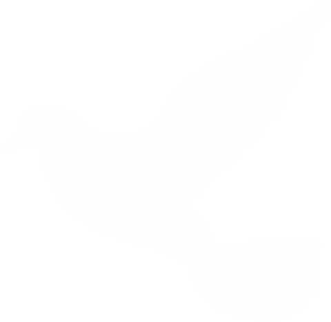 White dove silhouette on transparent background