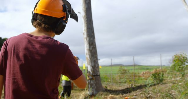 Lumberjack in countryside field cutting a tree while wearing safety gear, including helmet and ear protection. Rural environment with green fields and blue sky. Suitable for topics on forestry, outdoor work, safety in the workplace, and rural life.