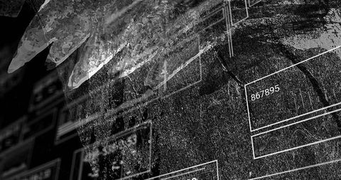 Monochrome textured overlay layering translucent leaf silhouettes and technical ui frames