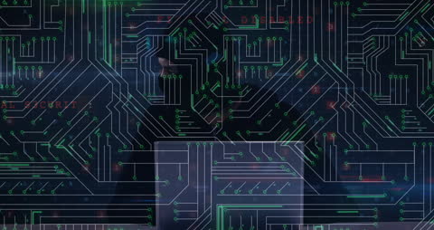 Network Connections and Digital Circuit Board Visualization