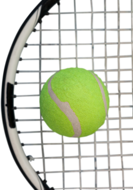 Tennis Ball Resting on Racket Strings, Transparent Background - Download Free Stock Videos Pikwizard.com