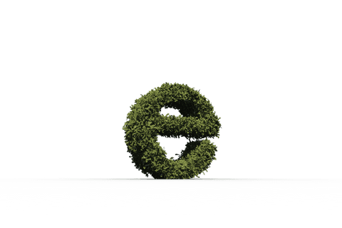e letter shaped green leaf bush on transparent background png - Download Free Stock Videos Pikwizard.com