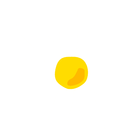 Minimalistic Daisy Flower Illustration on Transparent Background