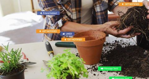 Mature woman repotting herbs in terracotta pot on home table with soil, roots and social media overl