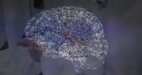 Digital Brain Networks Overlaid on Doctor Using Tablet Device