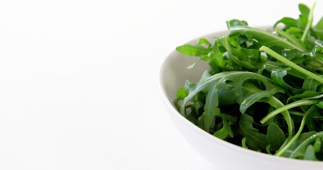 Arugula in bowl against white background - Download Free Stock Photos Pikwizard.com
