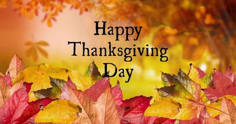 Happy thanksgiving day greeting card with vibrant fall leaves, sunlit bokeh and park background