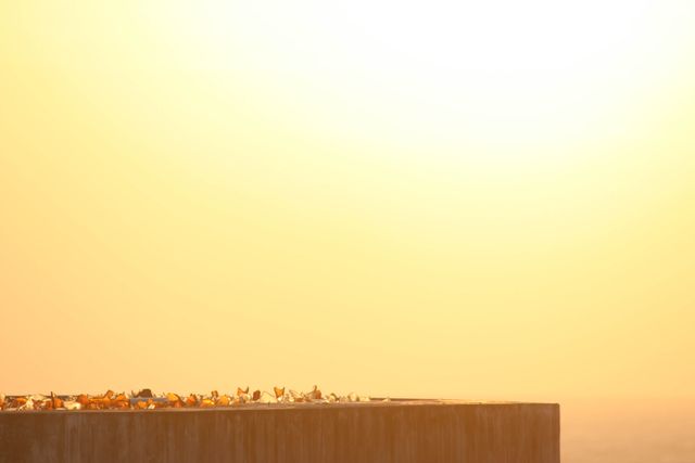 Minimalist Sunset with Rooftop Pigeons - Download Free Stock Photos Pikwizard.com