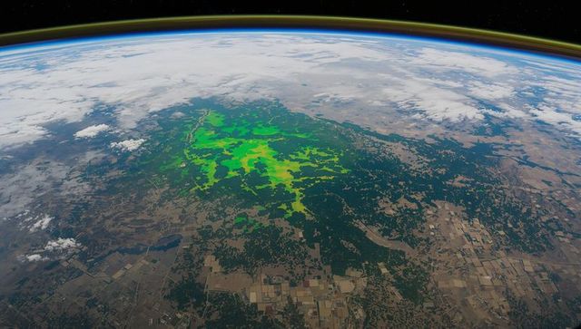 Elevated geography analysis: neon territories from space