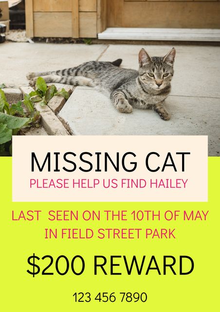 This notice announces a missing gray cat named Hailey, last seen on the 10th of May in Field Street Park. It offers a $200 reward for information on her whereabouts and provides a contact phone number. This can be used by anyone who wants to help spread the word about the missing cat and motivate local community members to help in locating the pet.