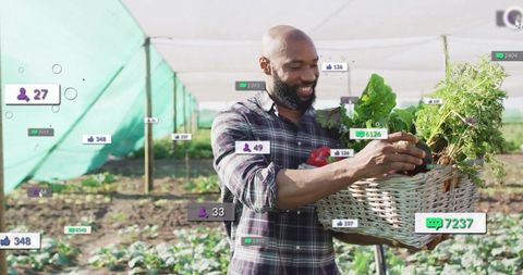 African american farmer harvesting vegetables in shadehouse with social media engagement