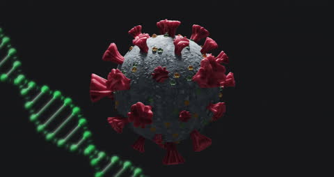 Animated COVID-19 Virus with DNA Strand in Dark Background