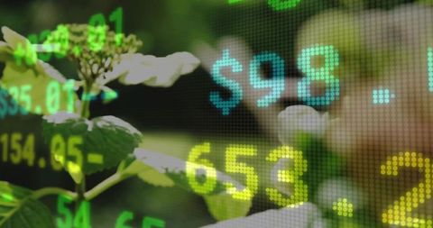 Green finance concept growing plant blending nature with digital stock price overlay