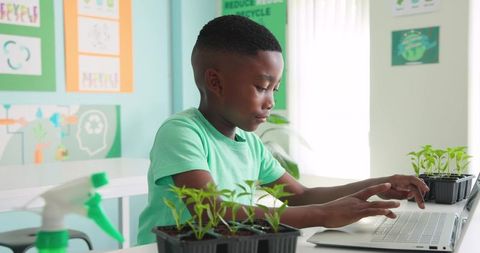 African american teen conducting plant experiment on laptop for green science learning