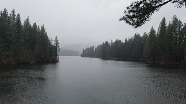 This stock photo captures a misty lake surrounded by dense evergreen trees, with calm water reflecting the overcast sky. Ideal for use in travel and nature blogs, environmental campaigns, relaxation and mindfulness content, and artwork that evokes calmness and serenity.