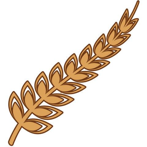illustration of wheat ear on transparent background - Download Free Stock Videos Pikwizard.com