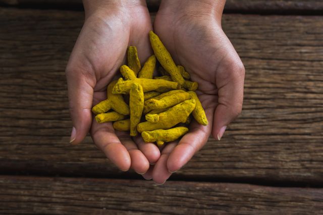 Close-up of hands holding turmeric roots against a wooden table. Ideal for use in articles about natural remedies, organic spices, traditional medicine, and holistic health practices. Perfect for wellness blogs, Ayurvedic treatment promotions, and educational materials on the benefits of turmeric.