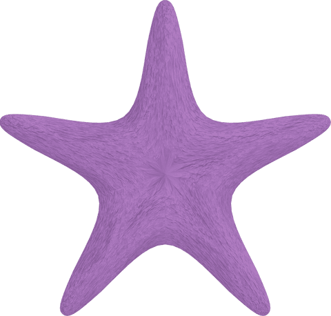 Purple starfish illustration on transparent background