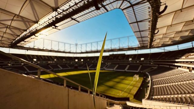 Single grass blade framing stadium pitch, goalposts and roof trusses in golden sunlight