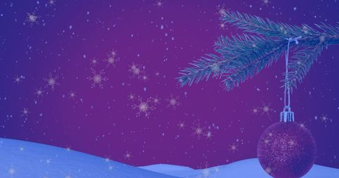 Snowy Winter Wonderland with Elegant Red Bauble