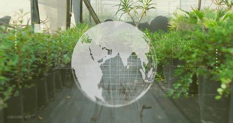 Hovering Digital Globe Displaying Global Data over Smart Greenhouse Plant Rows and Eco Data