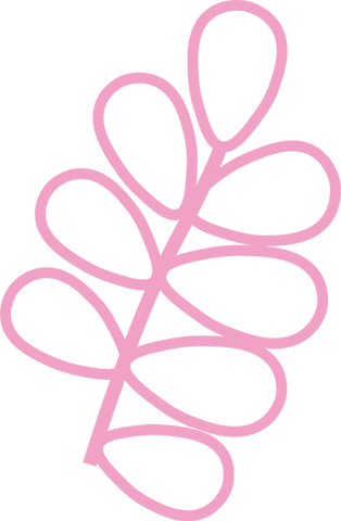 Minimalist pink botanical branch on transparent background