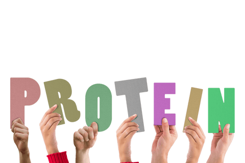 Hands Holding Protein Text Letters on Transparent Background - Download Free Stock Videos Pikwizard.com