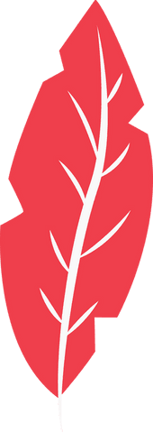 red leaf illustration with white veins on transparent background - Download Free Stock Videos Pikwizard.com