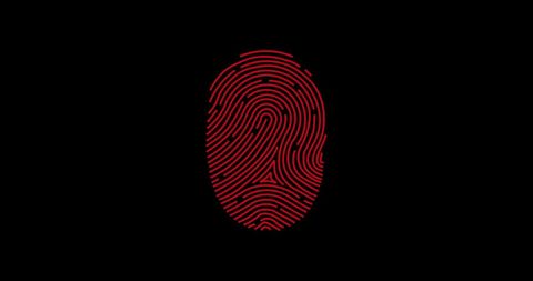 Digital Fingerprint with Red Accents on Black Interface Design