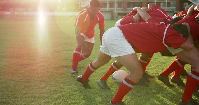 Rugby Team in Scrum During Intense Match at Sunset - Download Free Stock Images Pikwizard.com