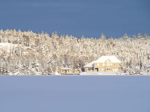 Secluded lakeside winter home framed by snow-covered forest and frozen lake
