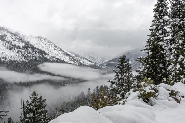 Snow-covered mountain landscape showing dense evergreen trees and foggy atmosphere. Perfect for winter-themed advertisements, nature calendars, travel brochures, and environmental campaigns depicting remote and tranquil wilderness settings.