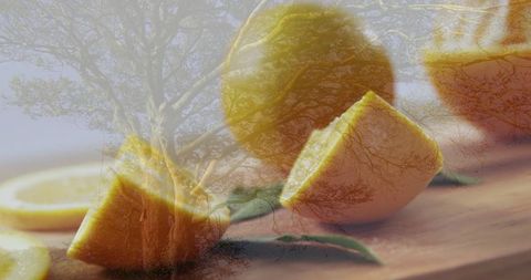 Artistic Lemons Under Tree Silhouette Reflecting Nature and Freshness