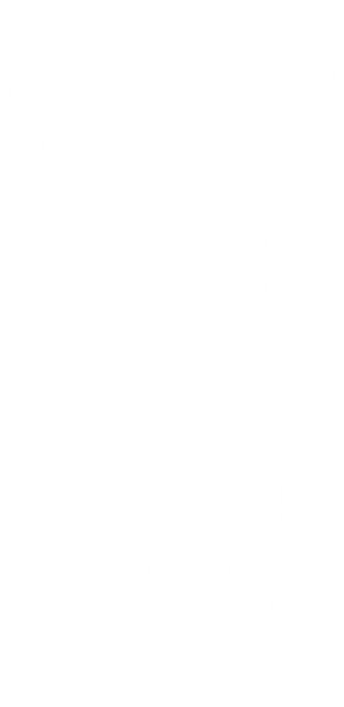 Silhouette of Woman Raising Hands on Transparent Background for Joy and Celebration - Download Free Stock Videos Pikwizard.com