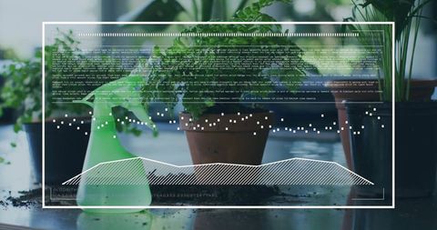 Innovative Use of Data Technology in Home Gardening - Download Free Stock Images Pikwizard.com