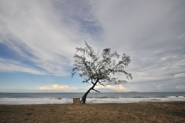 Solitary tree with a swing on an empty beach with ocean waves under a cloudy sky. Ideal for concepts of solitude, nature, tropical destinations, and relaxation. Useful for travel advertisements, nature posters, and inspirational quotes.