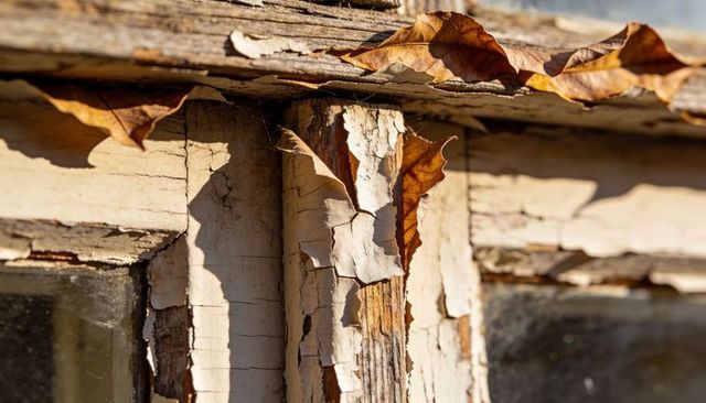 Peeling paint revealing weathered wood window frame with dried leaves in warm autumn light