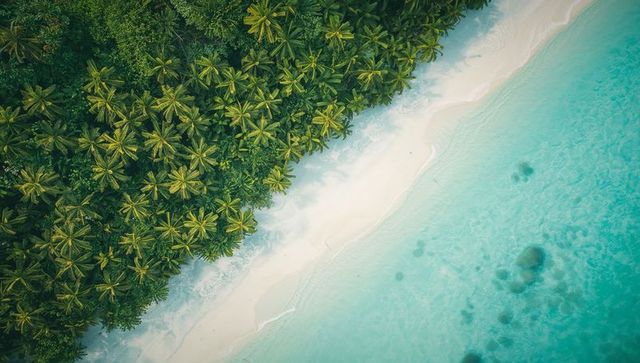 Aerial view of tropical beach with turquoise waters and lush palm trees