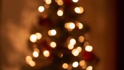 Camera shifting focus to Christmas tree revealing warm bokeh lights and red ornaments