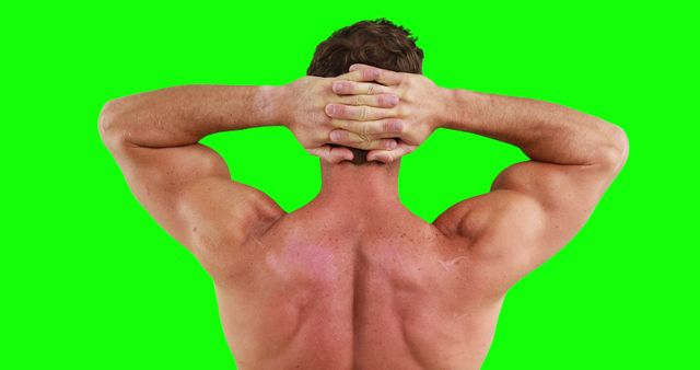 Muscular man showing his back while placing hands on head with green background. Suitable for fitness ads, gym promotions, and health products. Ideal for illustrating strength, bodybuilding, and athleticism. Excellent for use in fitness magazines, workout guides, and sports app design.